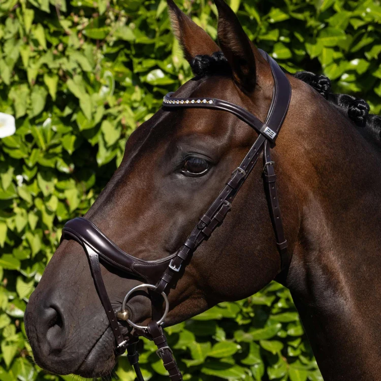 Bridon Premier Equine Anatomique Palazzo