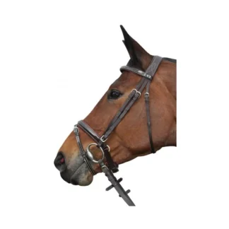 Bridon Privilège Equitation Cannes