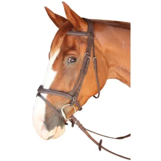 Bridon Privilège Equitation Dinard