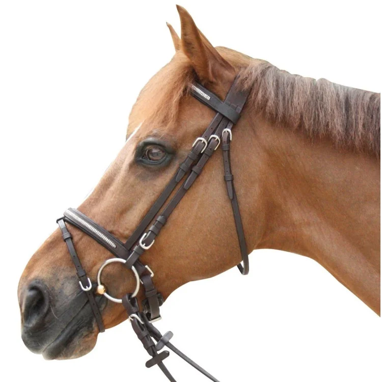 Bridon Privilège Equitation Lacanau