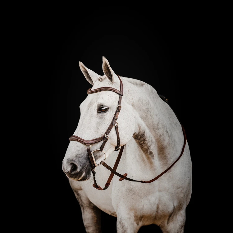 Bridon Rambo Micklem 2 Deluxe Competition