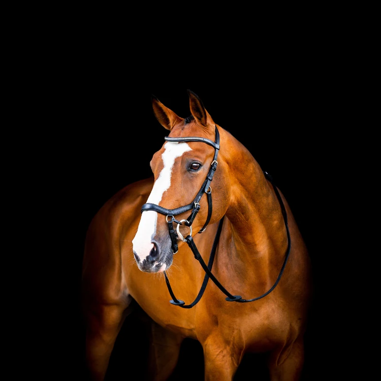 Bridon Rambo Micklem 2 Diamante Competition