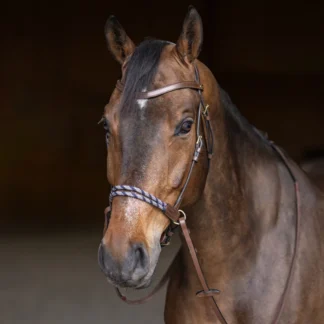 Bridon Sans Mors HFI Freedom