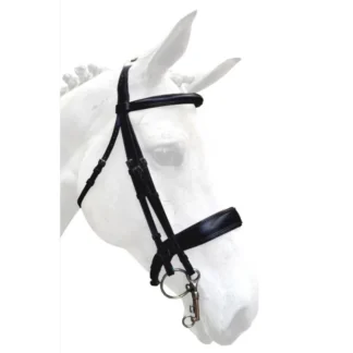 Bride Silver Crown Grand Tour