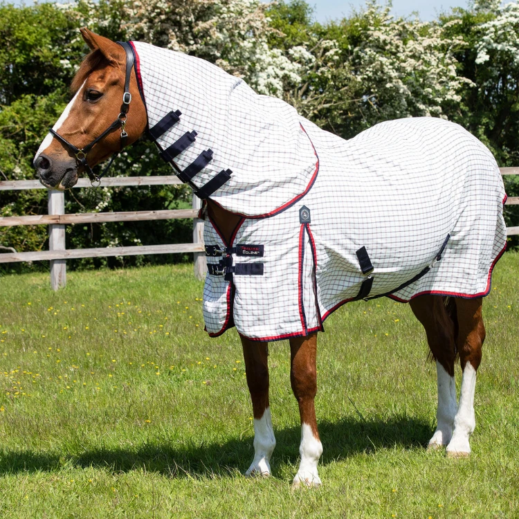 Chemise D'écurie Premier Equine Combo Coton