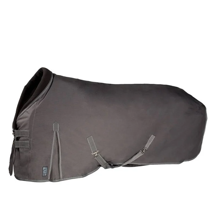 Chemise Greenfield Coton Bis