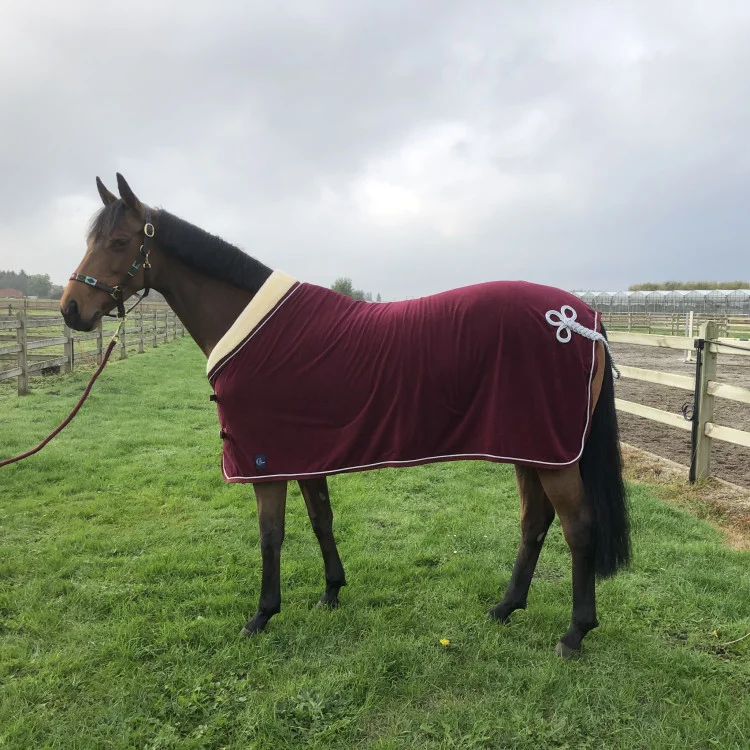 Chemise Greenfield Polaire Col Teddy