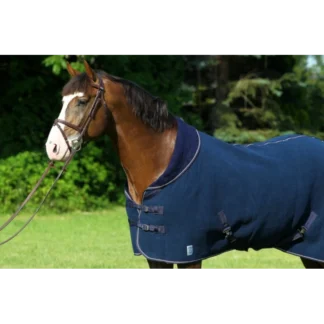 Chemise Greenfield Polaire Teddy Doublé