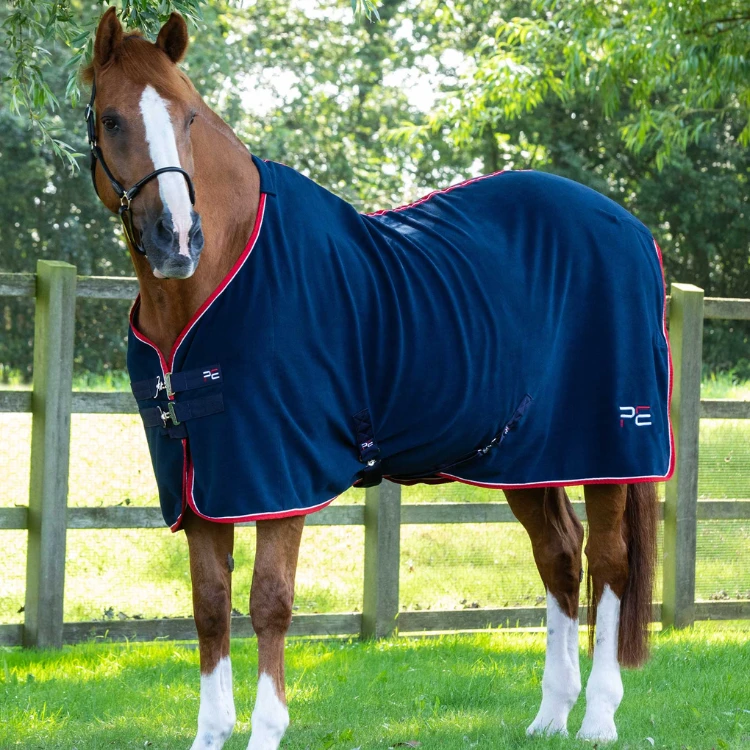 Couverture Séchante Premier Equine Asure