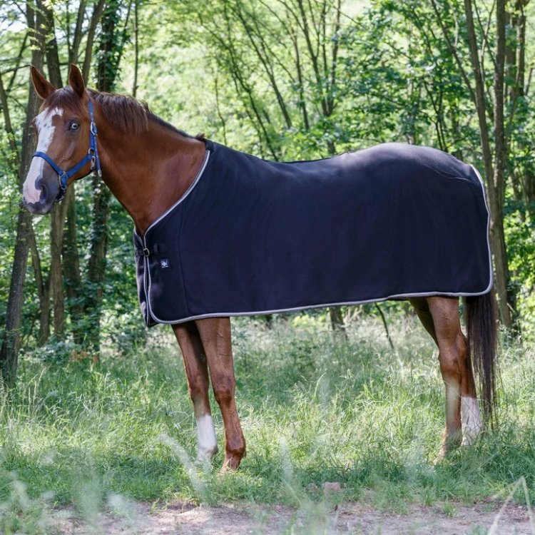 Chemise Polaire Riding World