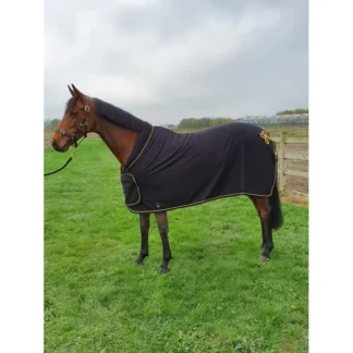 Chemise Remise Des Prix Greenfield Polaire