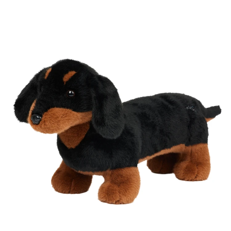 Chien LeMieux Dachsund Sally