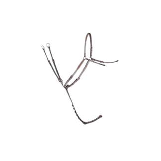 Collier De Chasse CWD à Pont Réglable Contact