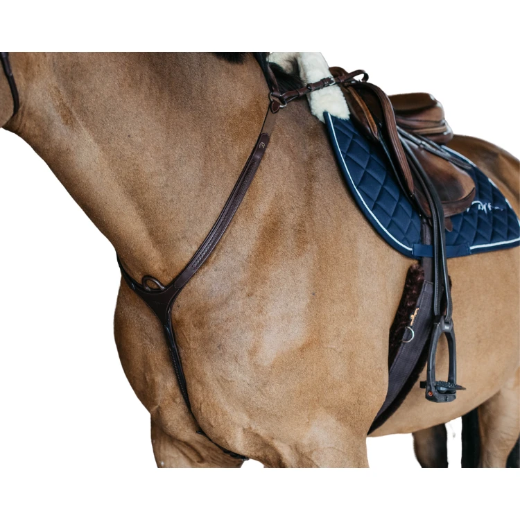 Collier De Chasse Dy'on à Pont Tressé NEC