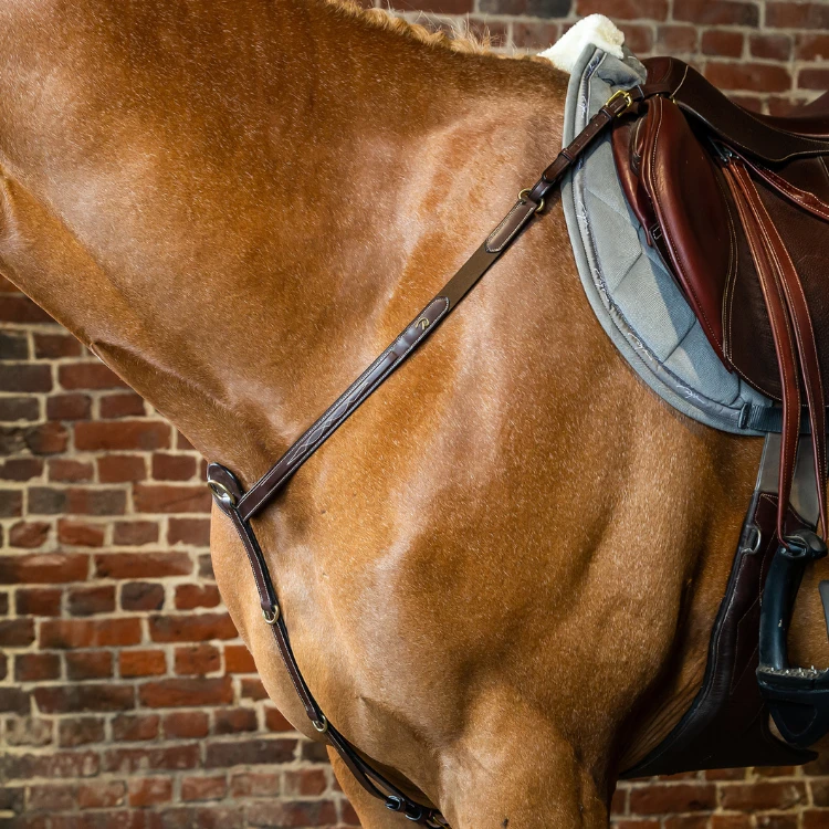 Collier de chasse Dy'on Hunter