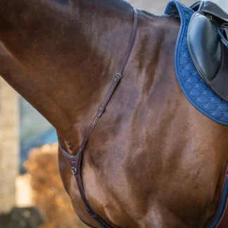 Collier Dy'on Yoke NEC