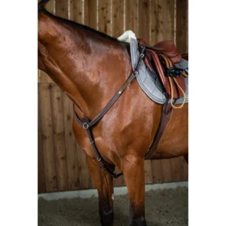 Collier De Chasse Dy'on Working