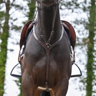 Collier De Chasse Et Martingale Jump'In One Premium Clincher