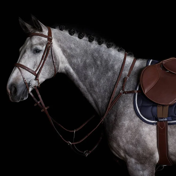 Collier De Chasse Greenfield Paris Veau