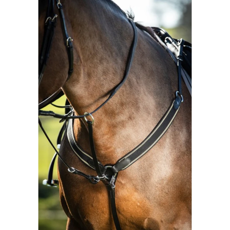 Collier De Chasse HFI Elastique + Martingale