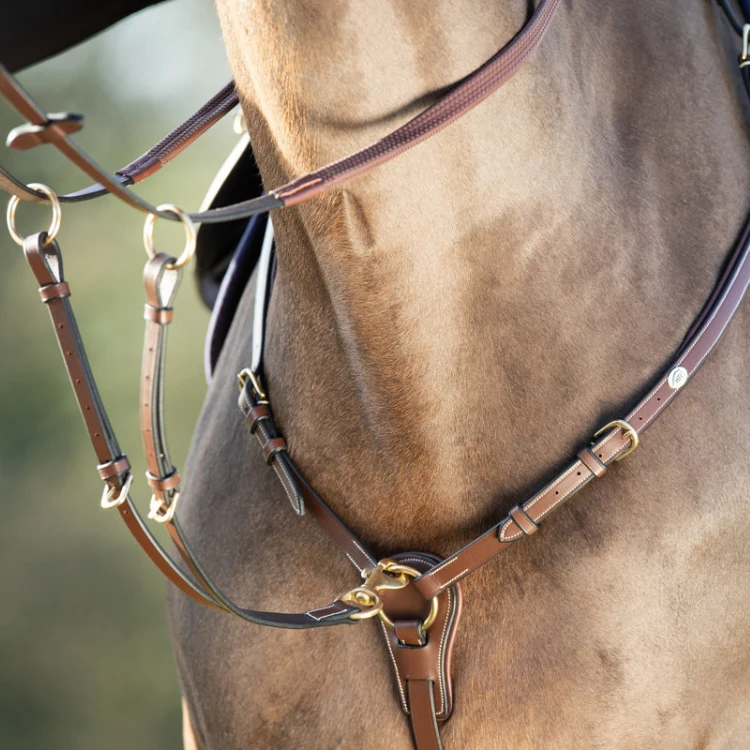 Collier de Chasse HFI Et Martingale Long Bridge