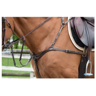 Collier de Chasse Jump'In One Cinq Points et Martingale