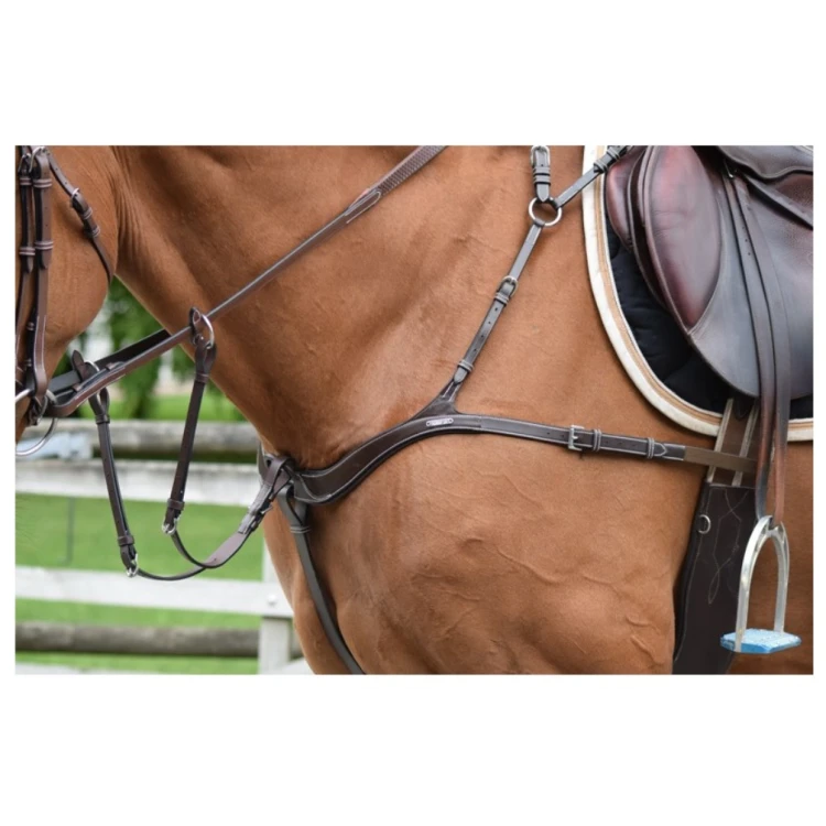 Collier de Chasse Jump'In One Cinq Points et Martingale