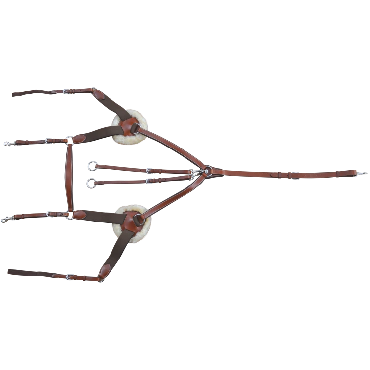 Collier de chasse Lexington 5 points