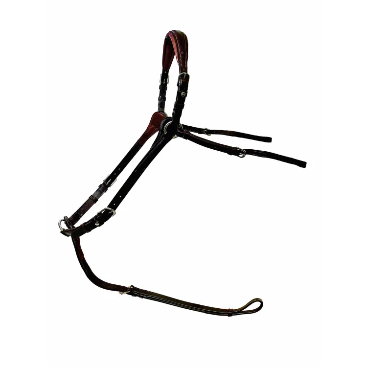 Collier De Chasse Silver Crown Code 01