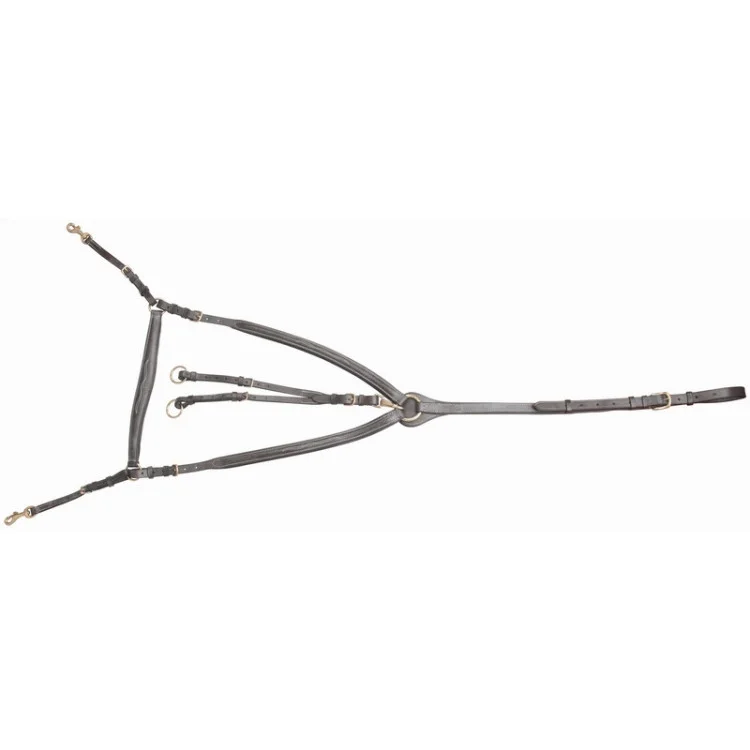 Collier De Chasse TdeT À Pont