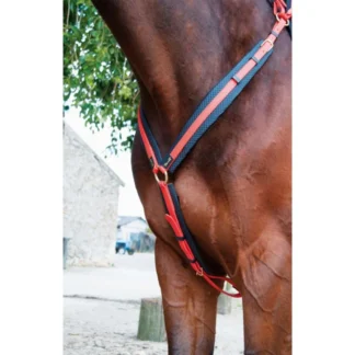 Collier De Chasse TdeT Biotack