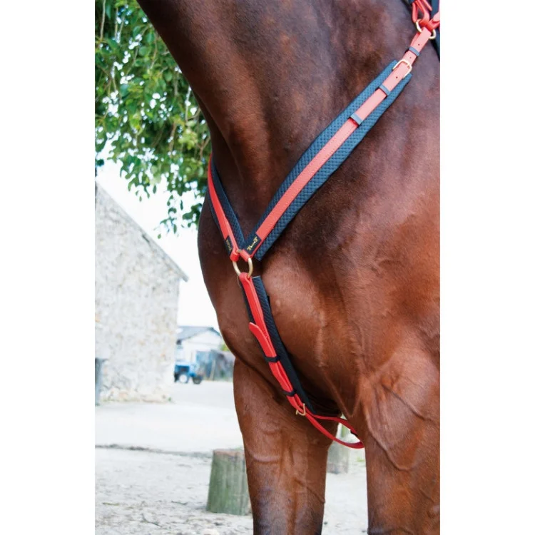 Collier De Chasse TdeT Biotack