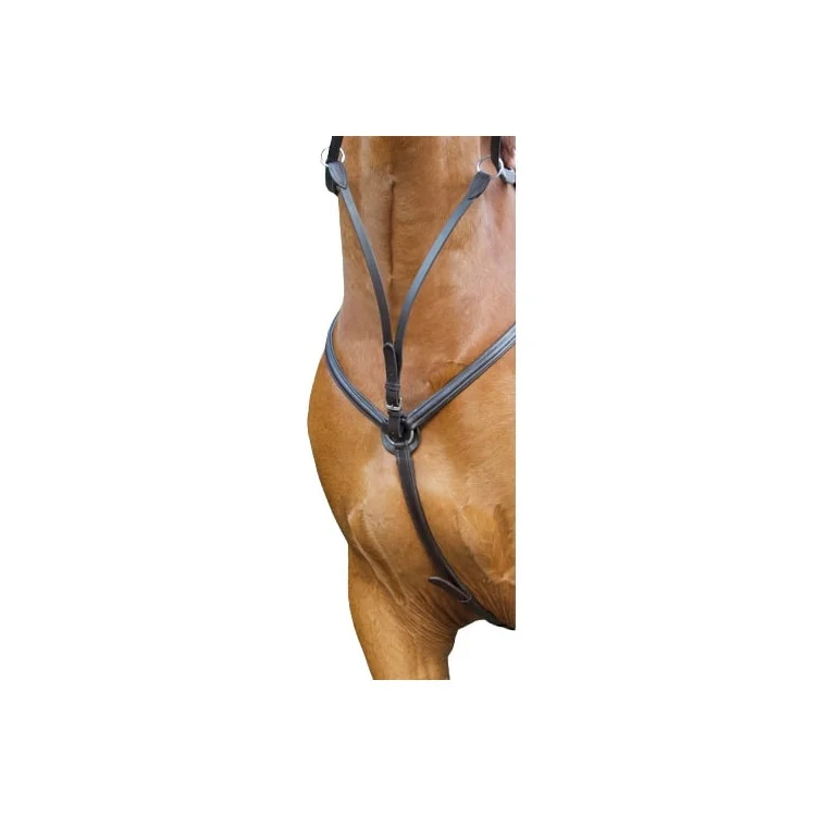 Collier De Chasse TdeT Classique