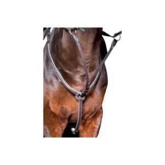 Collier De Chasse TdeT Surpiqué