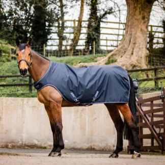 Couverture de marcheur Horseware Amigo Walker 100grs