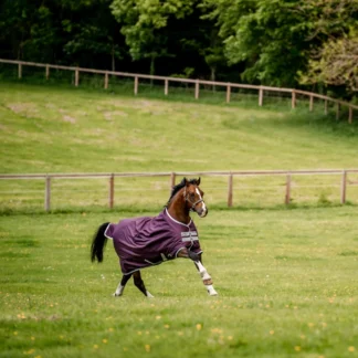 Couverture Horseware Amigo Hero Ripstop 200g