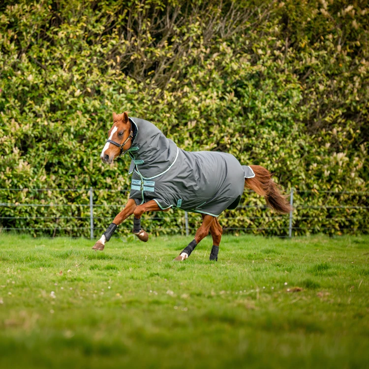 Couverture Horseware Amigo Hero Ripstop Plus 200g