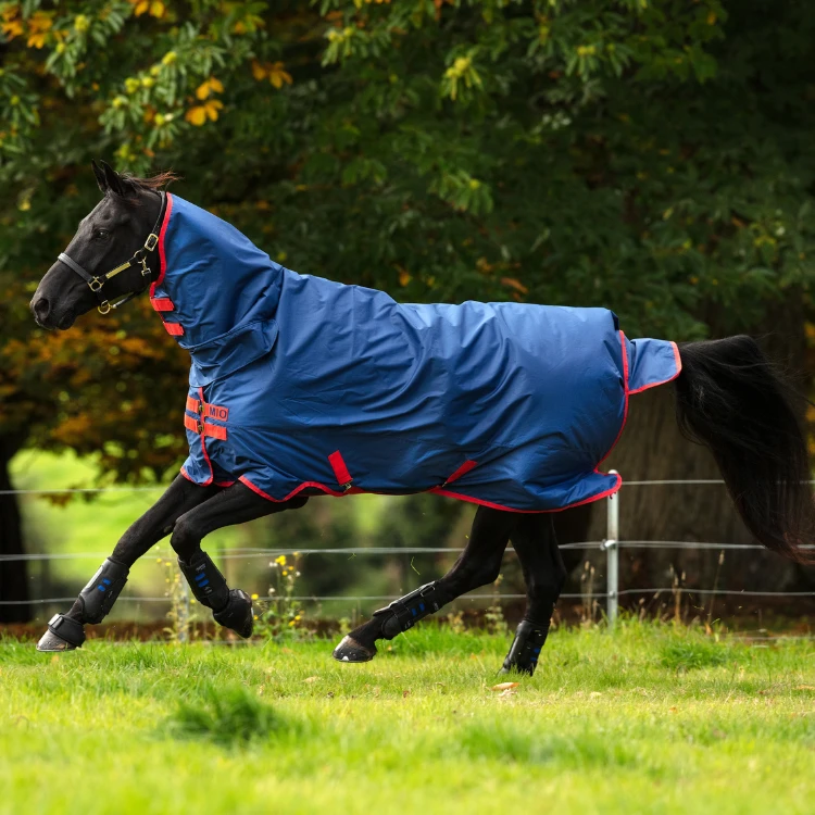 Couverture Horseware Mio All-In-One 350grs