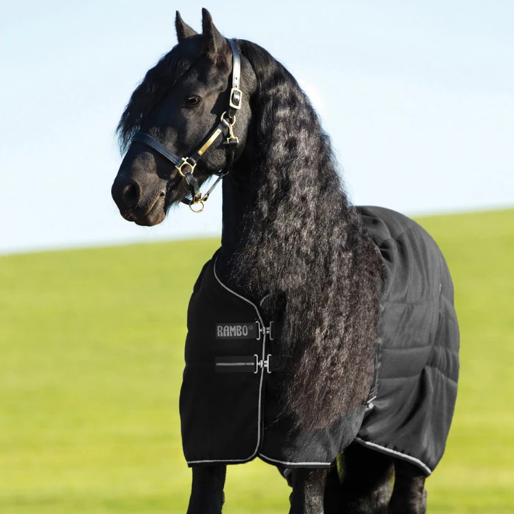 Couverture Horseware Rambo Stable Rug 200G Noire/Grise