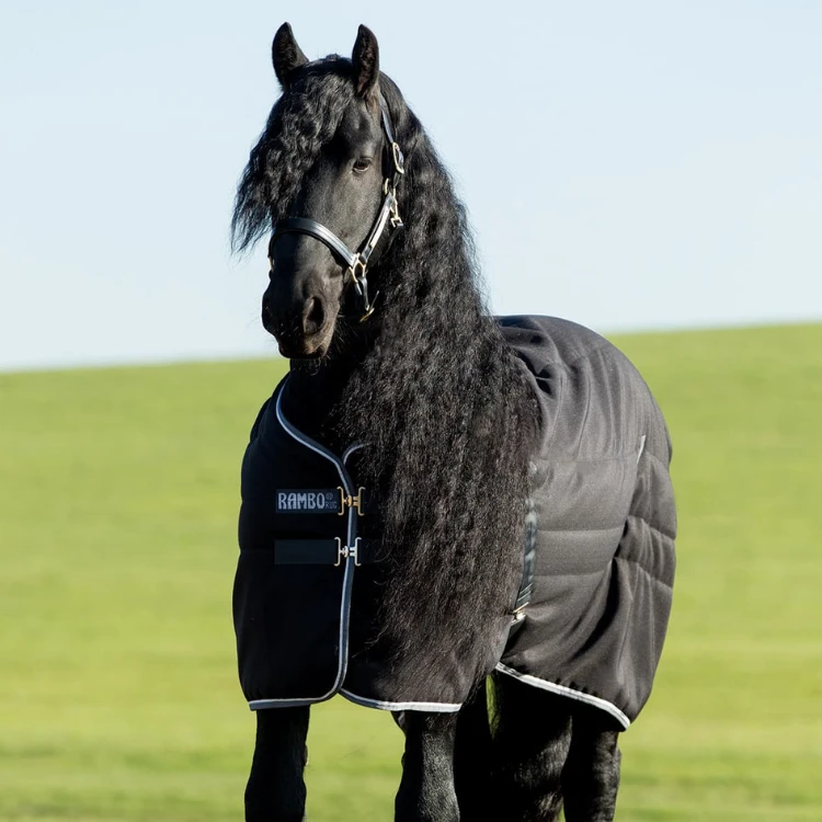 Couverture Horseware Rambo Stable Rug 400G Edition Noire/Grise
