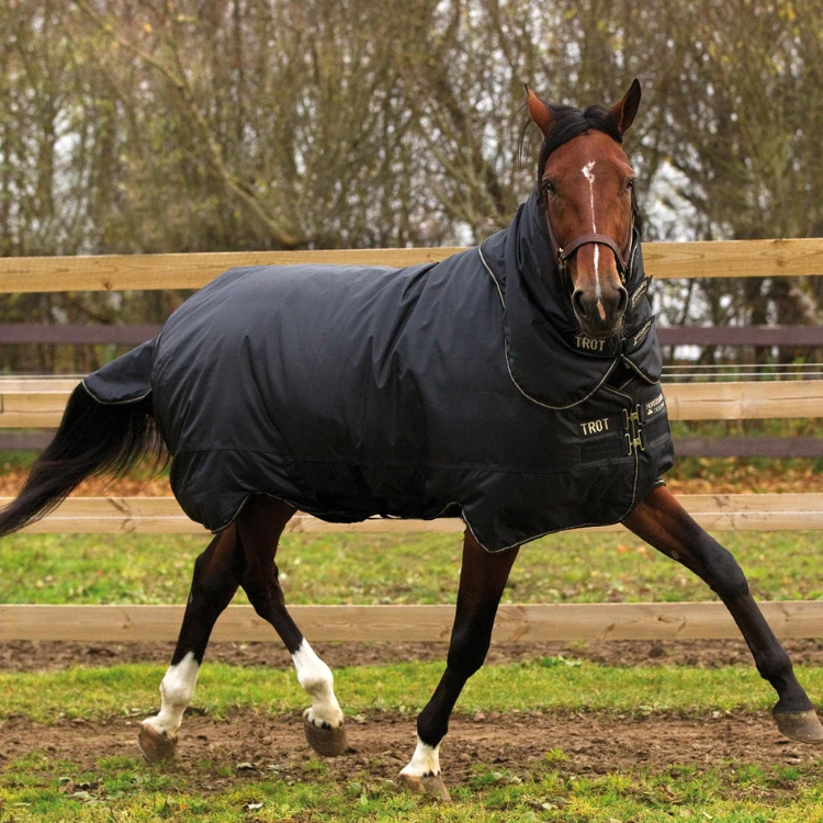 Couverture Horseware Trot Rug Plus 350grs