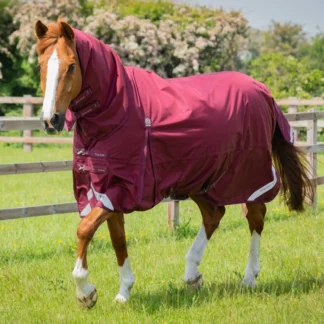 Couverture Premier Equine Buster Classic 90g Avec Couvre Cou