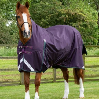 Couverture Premier Equine Buster Hardy 100g Avec Demi Cou