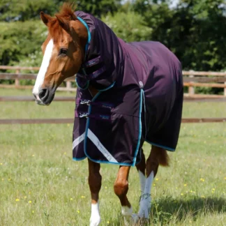 Couverture Premier Equine Buster Storm 100g Avec Couvre Cou