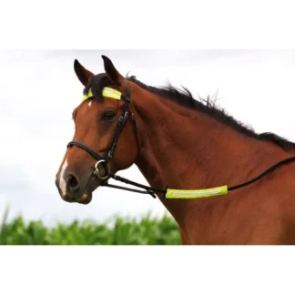 Couvre Rênes + Frontal Réfléchissant Norton