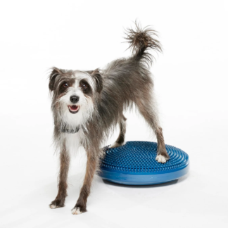 FitPaws Balance Discs 14"