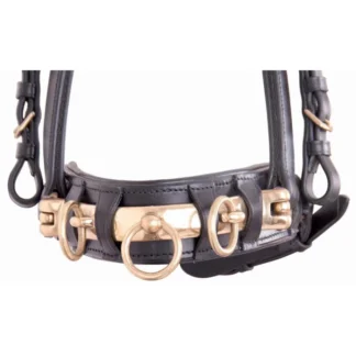 Enrênement Caveçon TdeT En Cuir