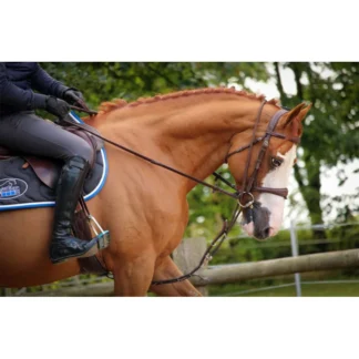 Enrênement Jump'In Patrick