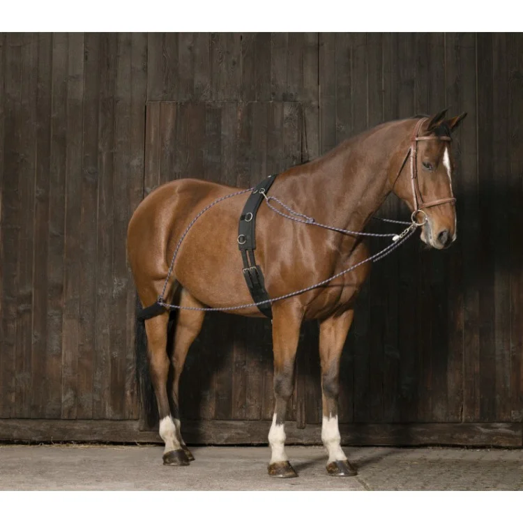 Enrênement Norton à Poulies