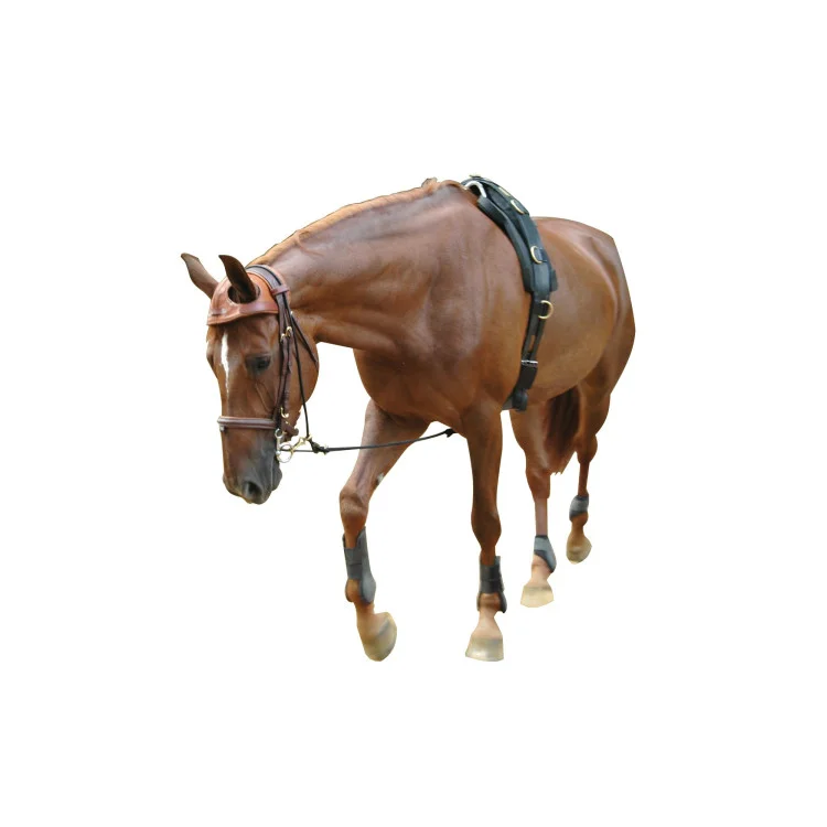 Equilonge Eric Le Tixerant